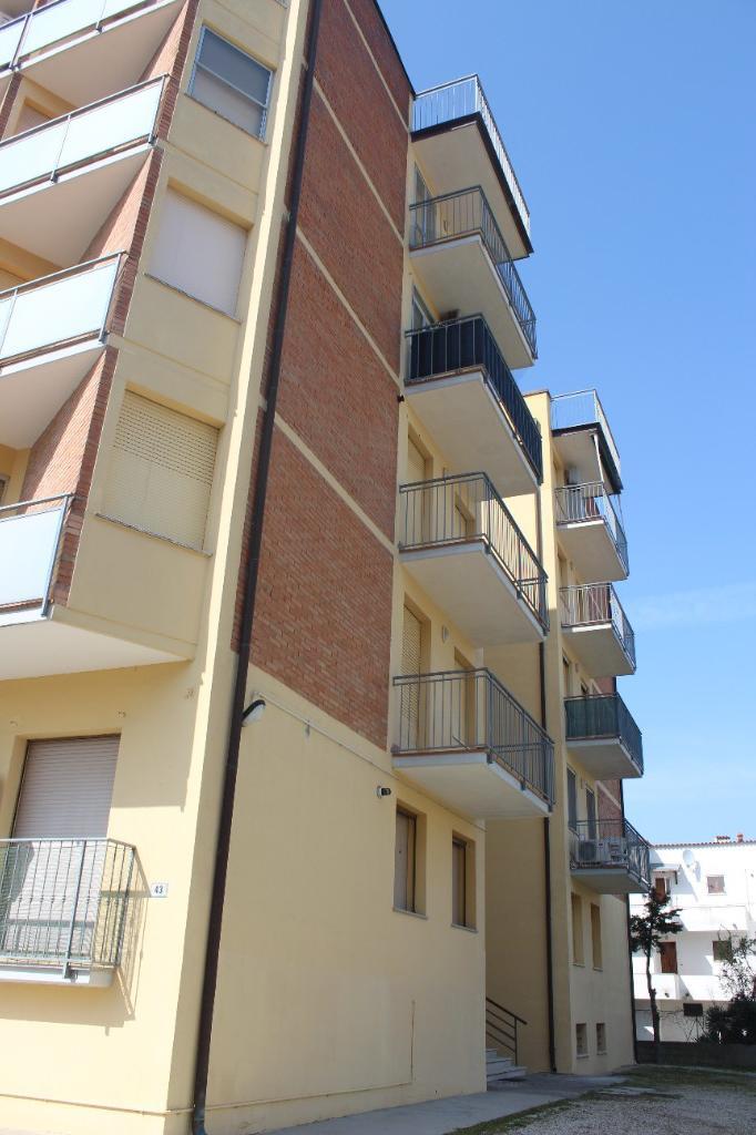 immagine annuncio 6 di 7