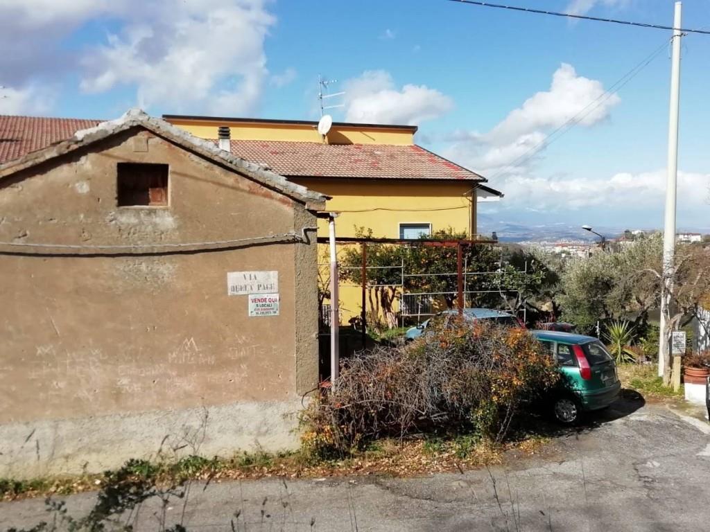 immagine annuncio 2 di 7