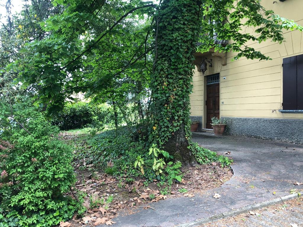 immagine annuncio 1 di 6