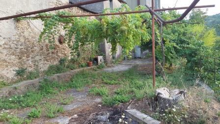 immagine annuncio 4 di 6