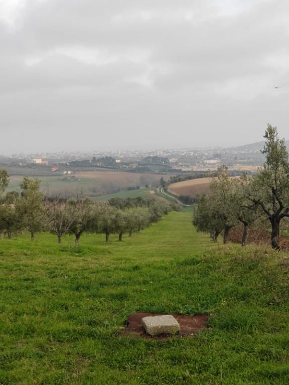 immagine annuncio 3 di 7