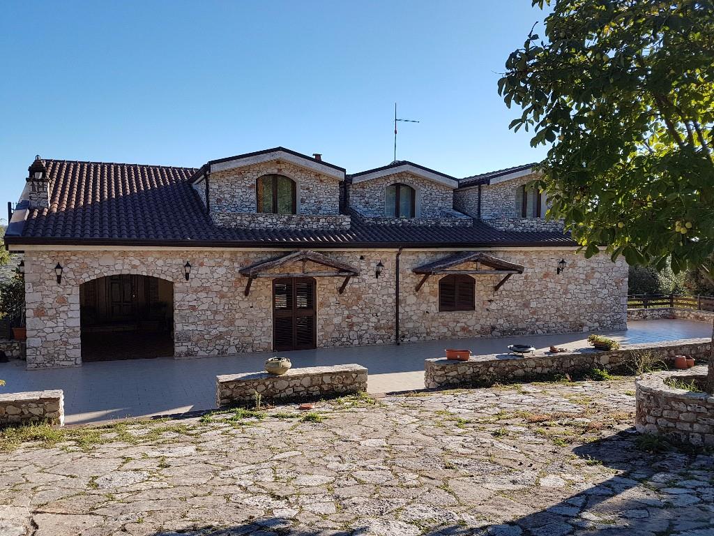 immagine annuncio 3 di 7