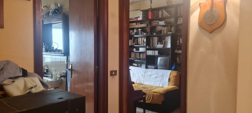 immagine annuncio 3 di 7