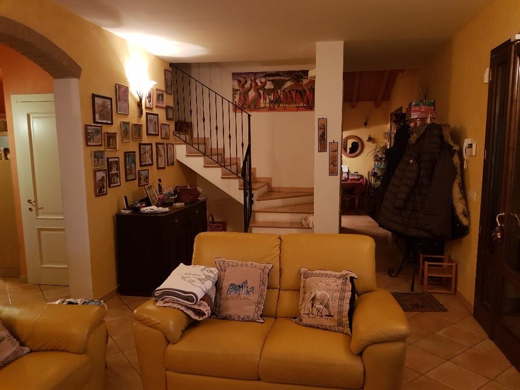 immagine annuncio 2 di 7