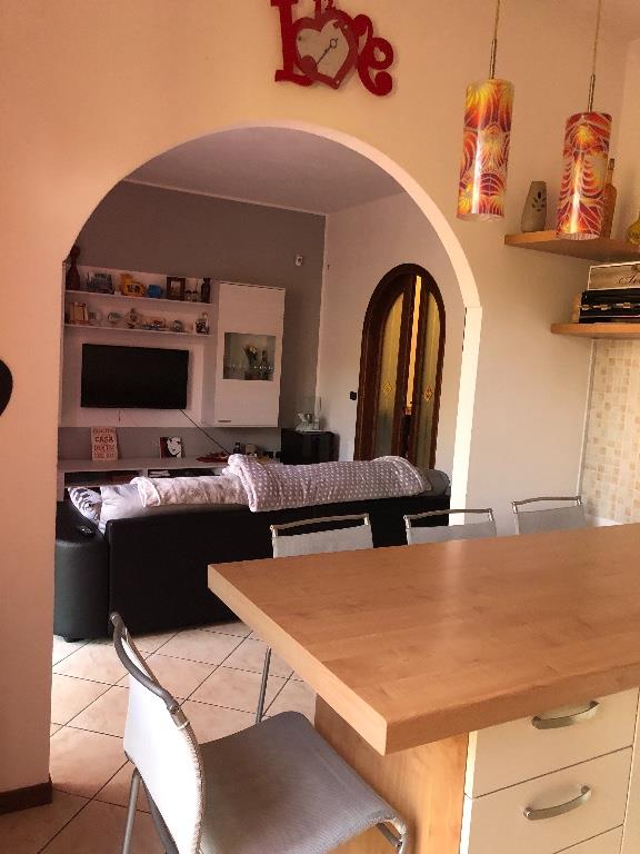 immagine annuncio 4 di 7