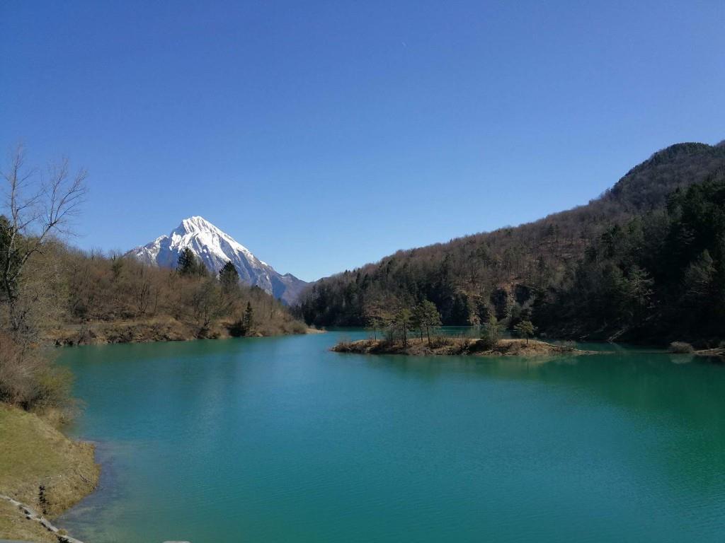 immagine annuncio 5 di 6