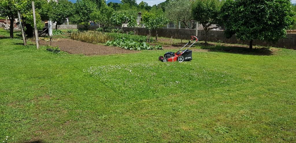 immagine annuncio 6 di 7