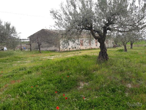 immagine annuncio 2 di 4