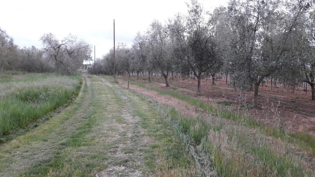 immagine annuncio 4 di 6