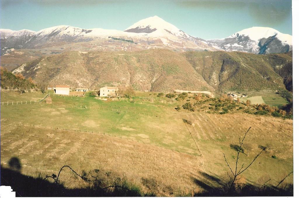immagine annuncio 2 di 7
