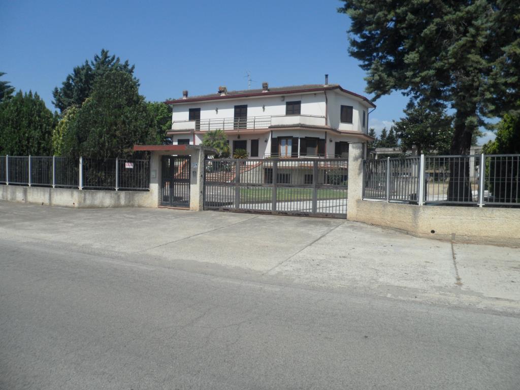 immagine annuncio 1 di 7