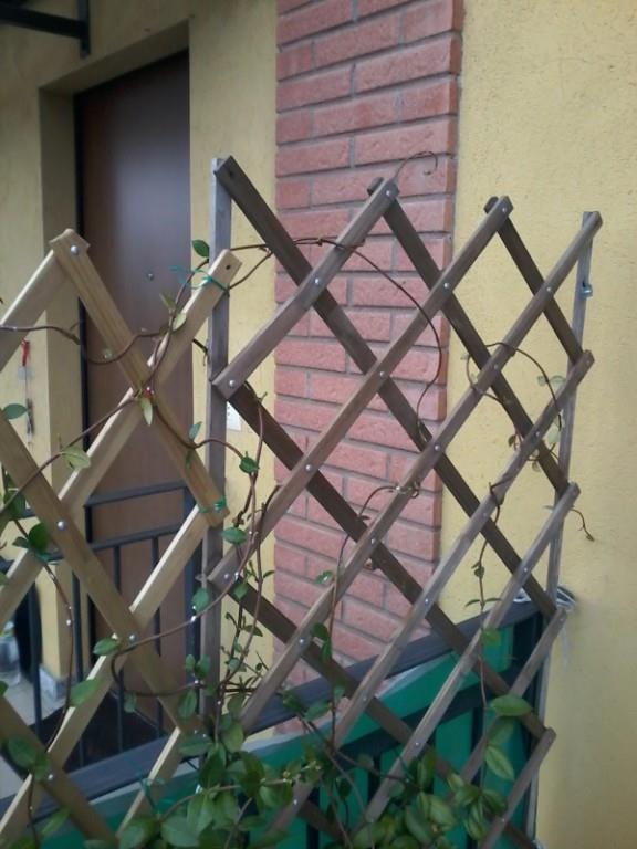 immagine annuncio 4 di 6