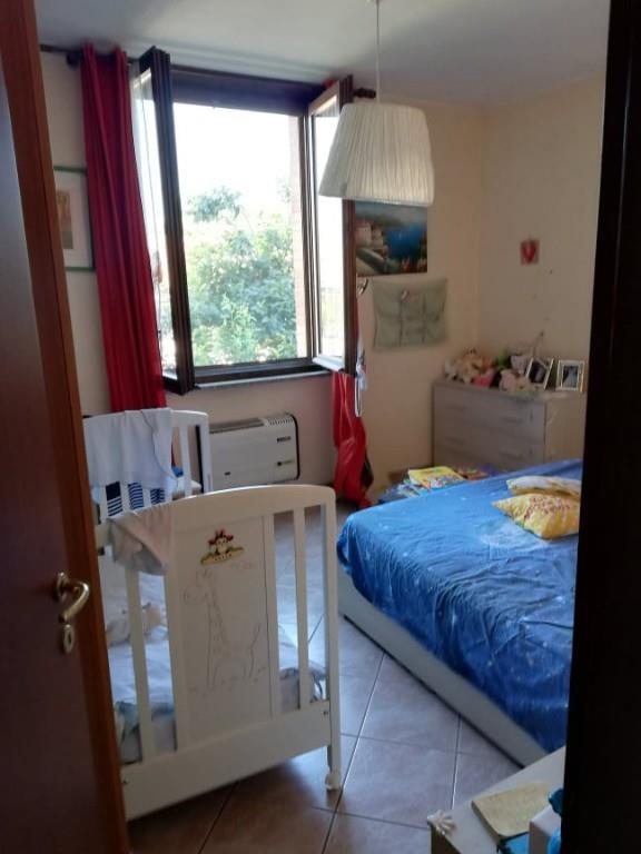 immagine annuncio 2 di 7