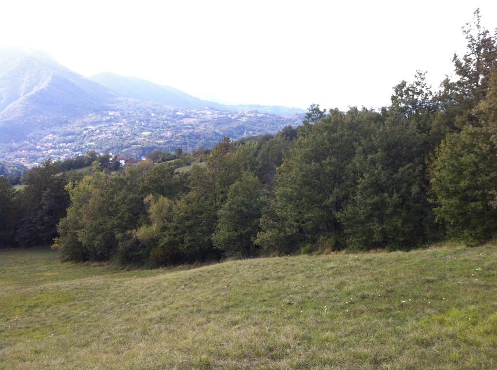 immagine annuncio 3 di 7