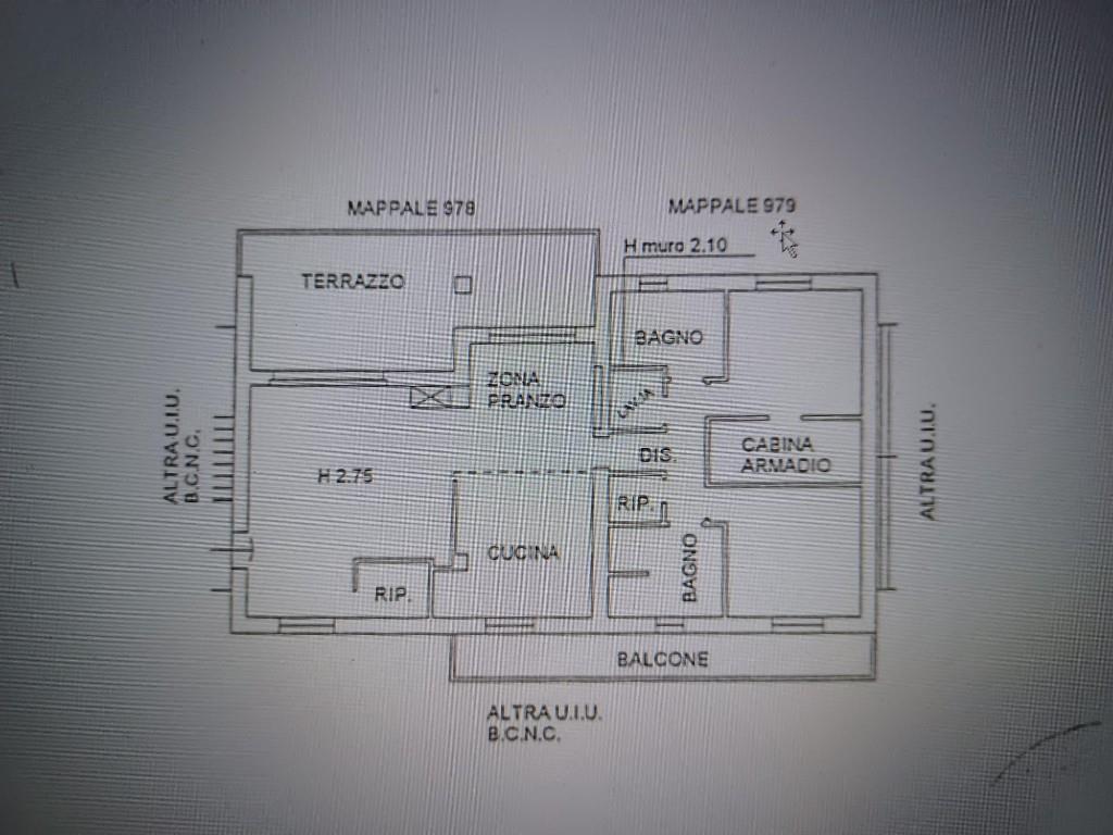immagine annuncio 6 di 7