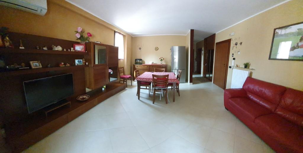 immagine annuncio 3 di 6