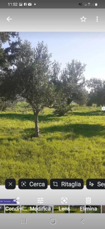 immagine annuncio 4 di 6