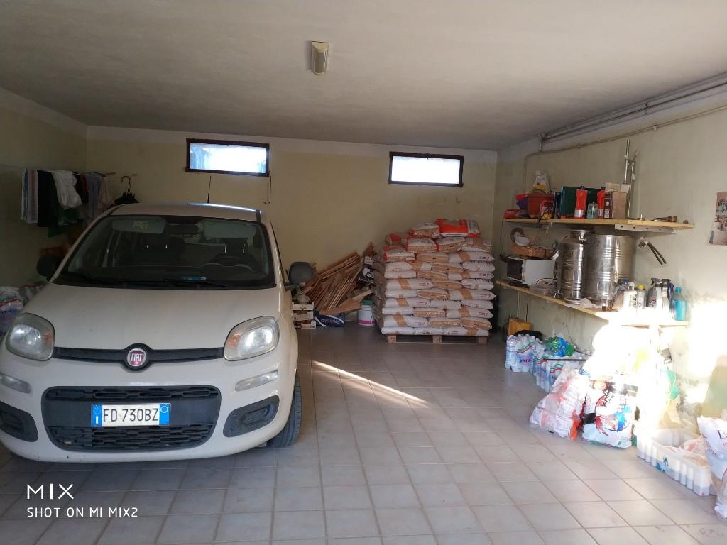 immagine annuncio 5 di 7