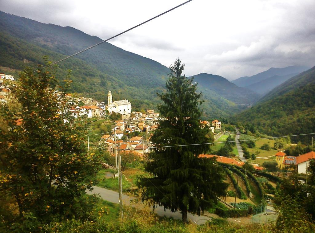 immagine annuncio 2 di 7