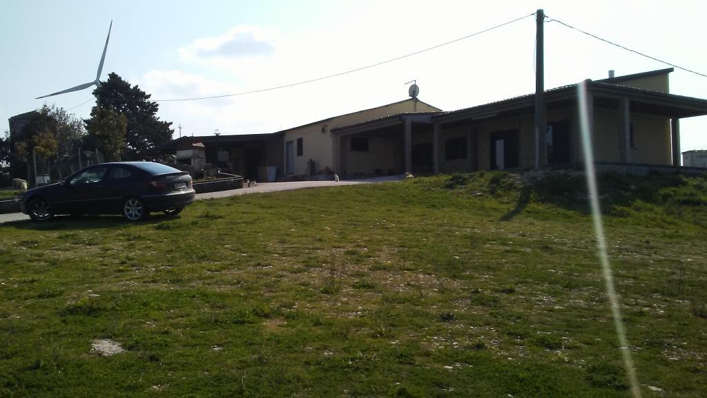 immagine annuncio 4 di 7