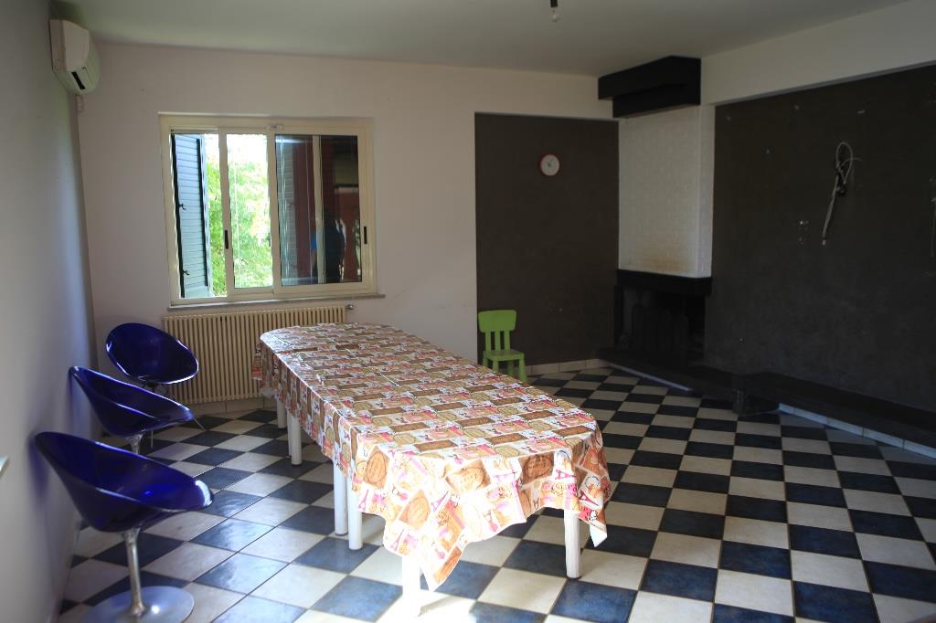 immagine annuncio 2 di 7