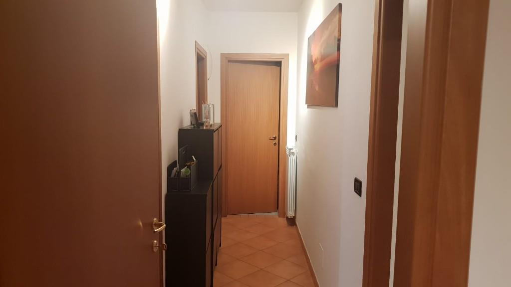 immagine annuncio 2 di 7