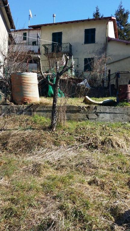 immagine annuncio 3 di 7