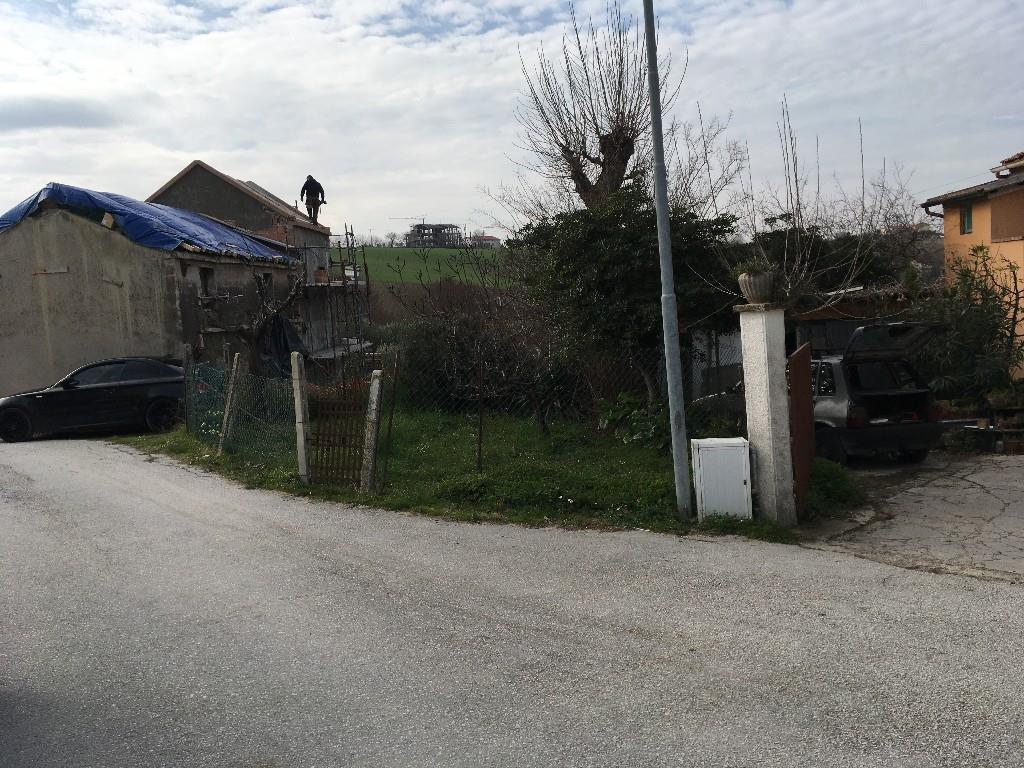 immagine annuncio 3 di 7