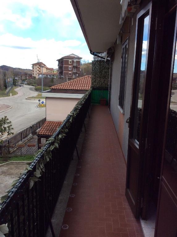 immagine annuncio 1 di 3