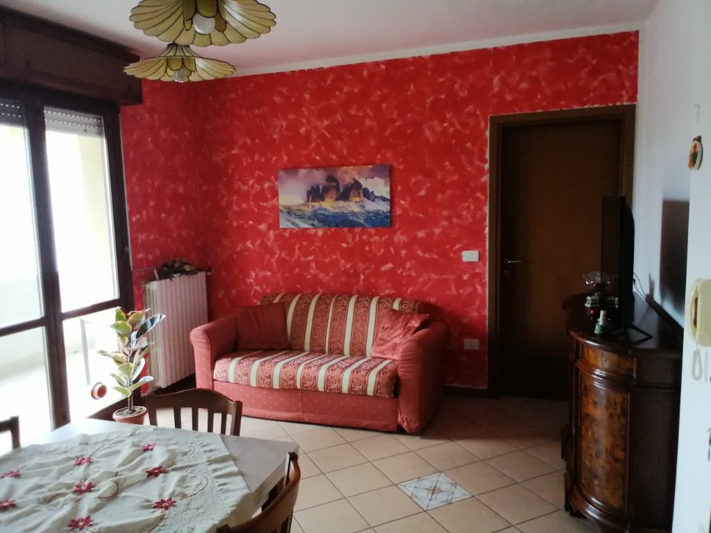 immagine annuncio 1 di 7
