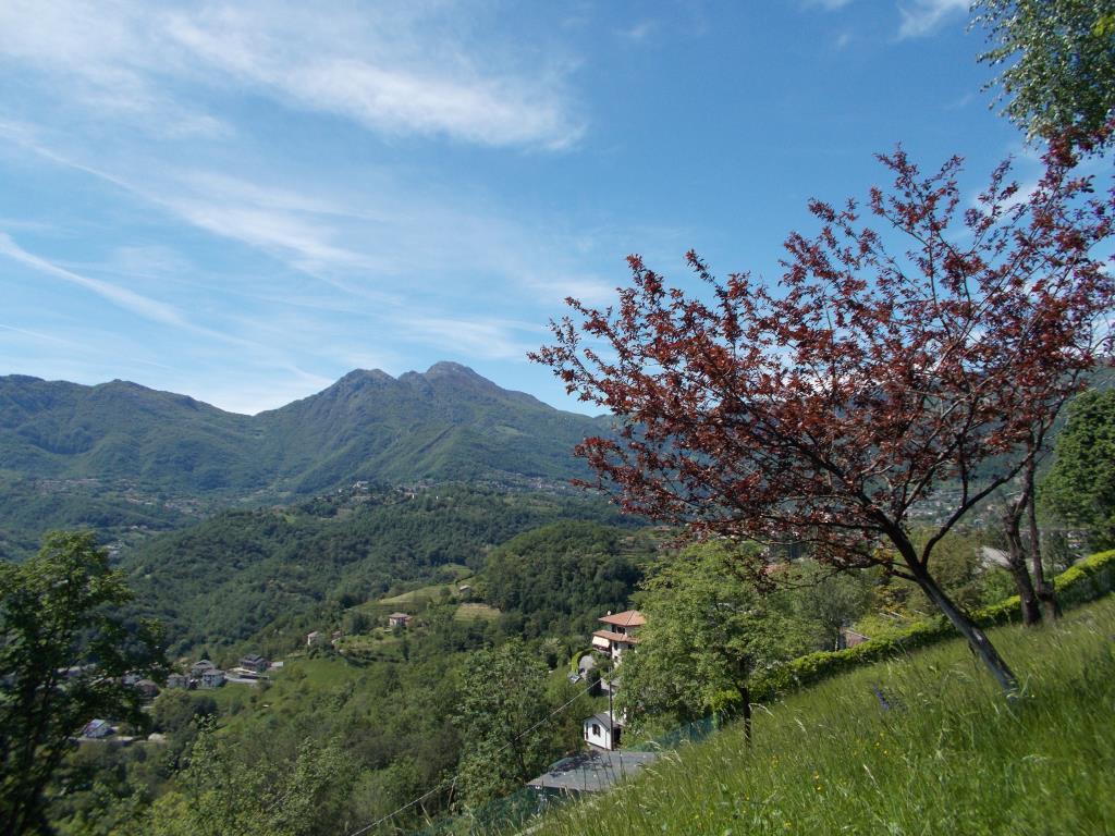 immagine annuncio 5 di 6