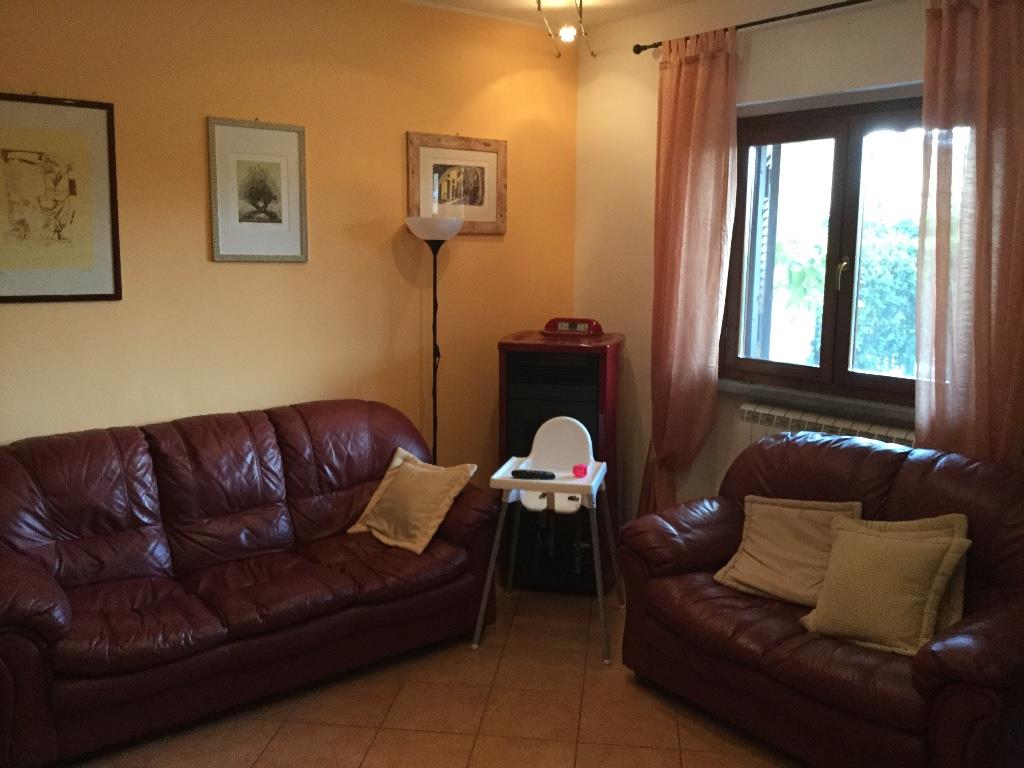 immagine annuncio 3 di 7