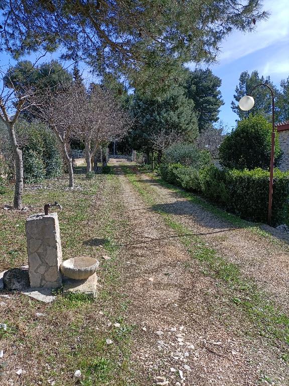 immagine annuncio 3 di 7