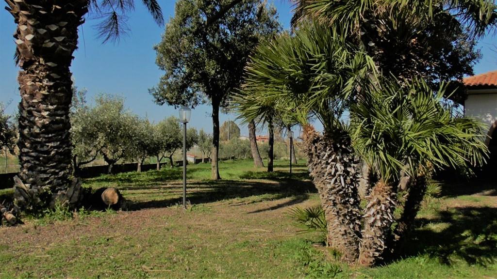immagine annuncio 4 di 7