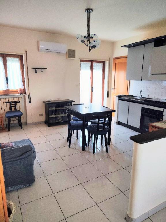 immagine annuncio 3 di 7