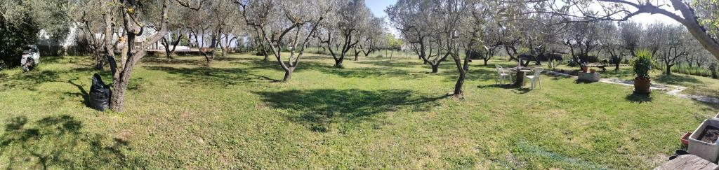 immagine annuncio 6 di 7
