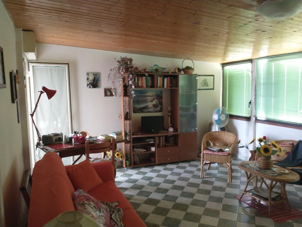 immagine annuncio 1 di 7