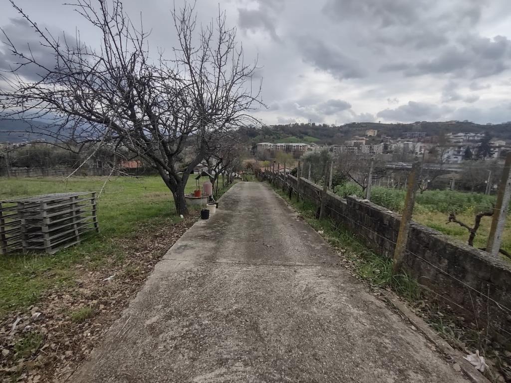 immagine annuncio 4 di 7