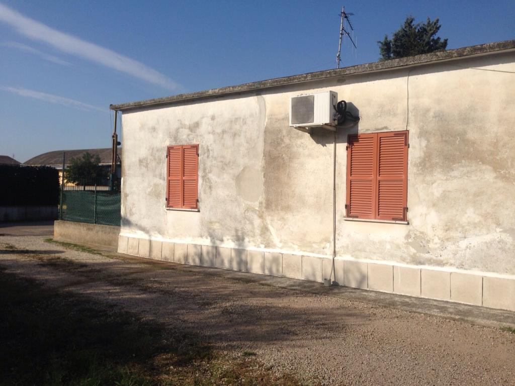 immagine annuncio 2 di 4