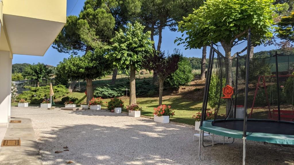 immagine annuncio 4 di 7