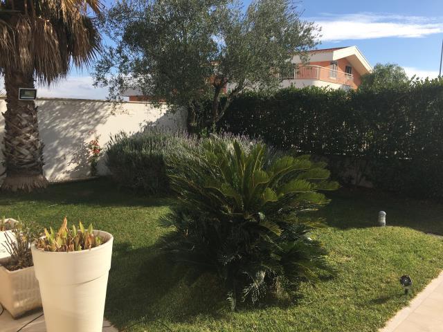 immagine annuncio 4 di 7