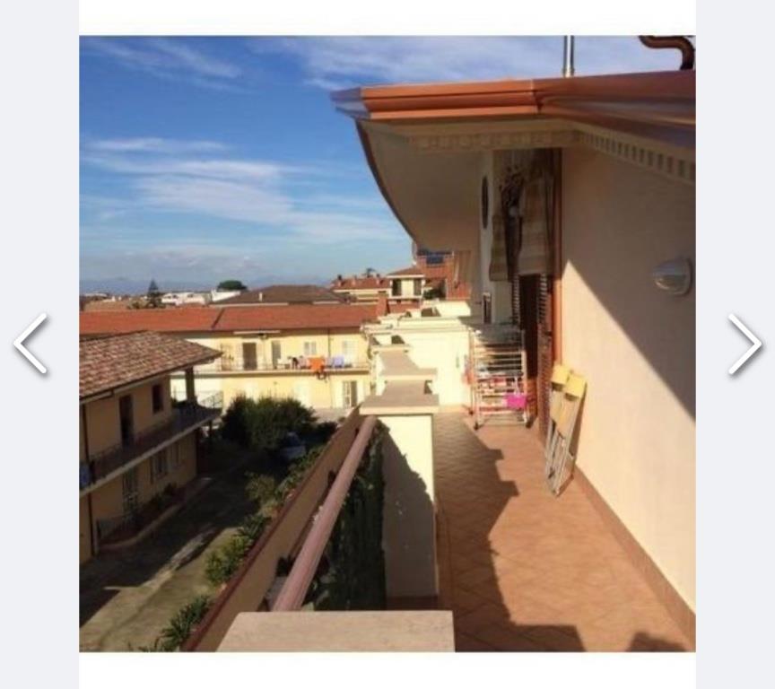 immagine annuncio 4 di 6
