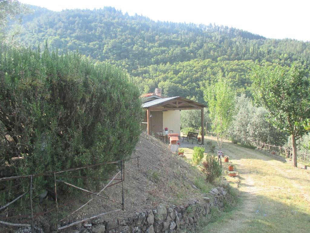 immagine annuncio 1 di 6