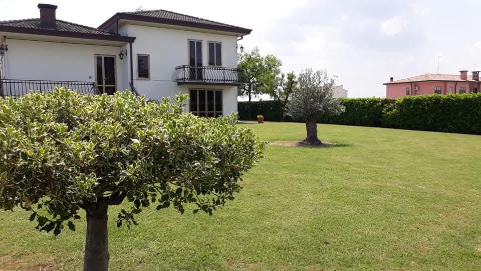 immagine annuncio 5 di 7