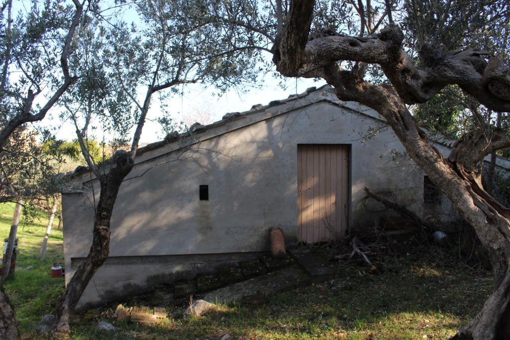 immagine annuncio 2 di 7