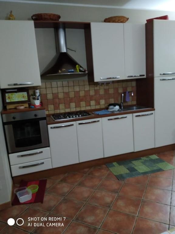 immagine annuncio 2 di 7