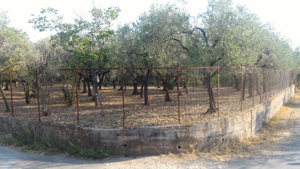 immagine annuncio 1 di 7