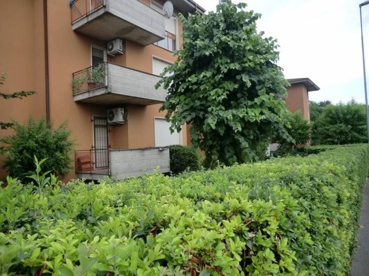 immagine annuncio 2 di 3