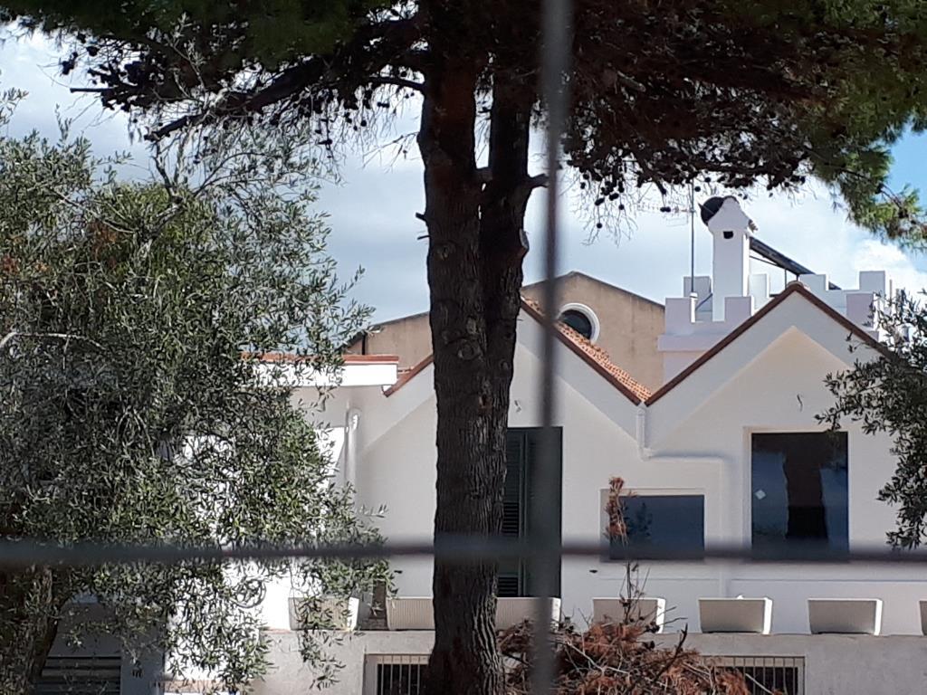 immagine annuncio 3 di 7