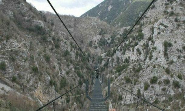 immagine annuncio 6 di 7